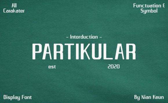 Partikular: A Display Font That Breathes Quiet Confidence